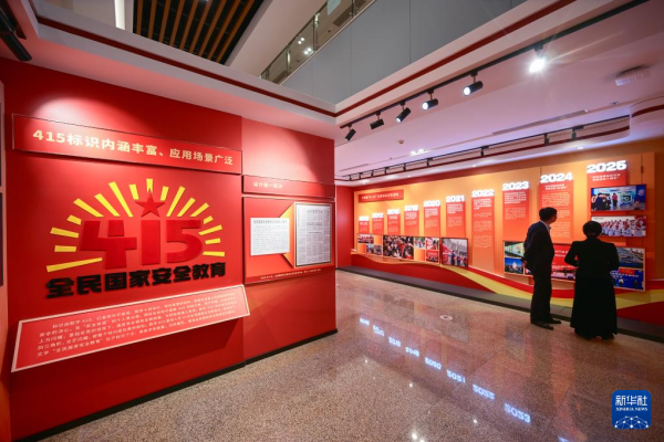 “宣宣”学习笔记（131）丨以新安全格局保障新发展格局