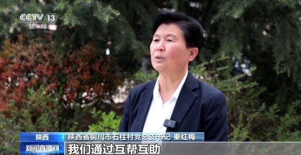 视频丨从“互助式食堂”到“湾区安居” 多元探索破解养老难题