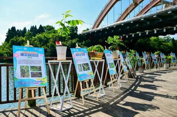 华南国家植物园珍稀濒危植物展亮相观山湖区