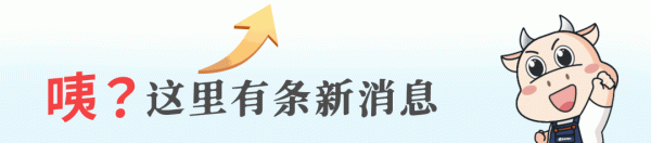 算账经营，既要算清账，更要经营好