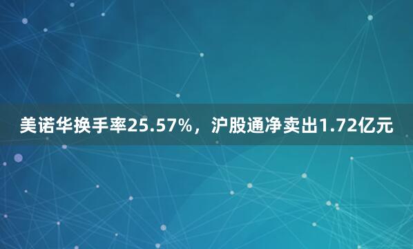 美诺华换手率25.57%，沪股通净卖出1.72亿元