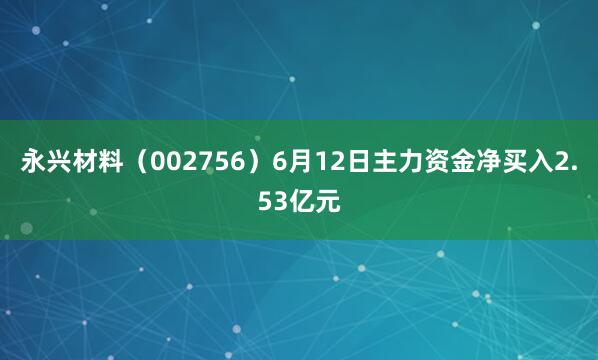 永兴材料（002756）6月12日主力资金净买入2.53亿元