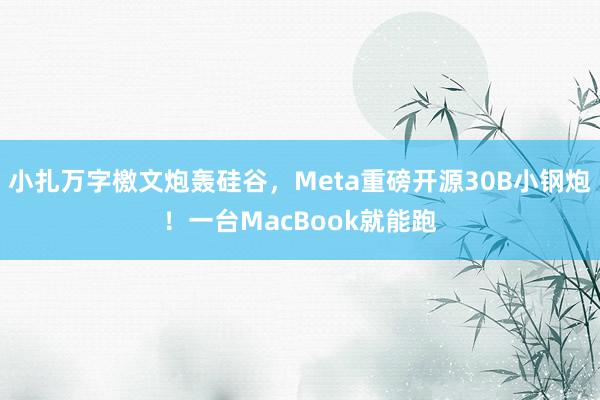 小扎万字檄文炮轰硅谷，Meta重磅开源30B小钢炮！一台MacBook就能跑