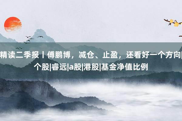 精读二季报丨傅鹏博，减仓、止盈，还看好一个方向|个股|睿远|a股|港股|基金净值比例