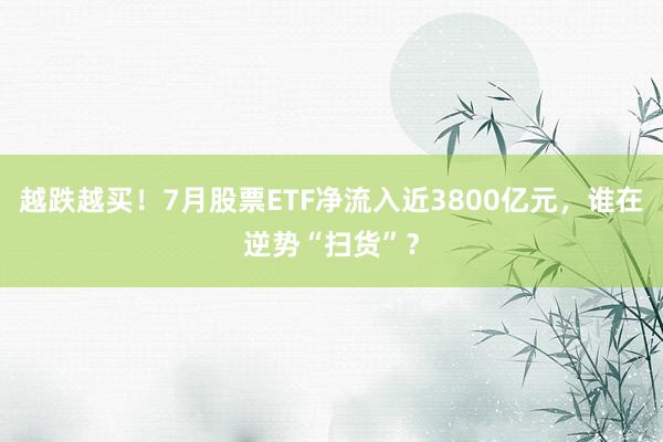 越跌越买！7月股票ETF净流入近3800亿元，谁在逆势“扫货”？