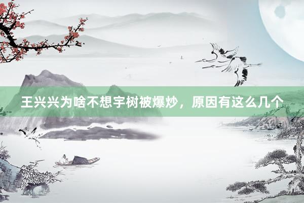 王兴兴为啥不想宇树被爆炒，原因有这么几个