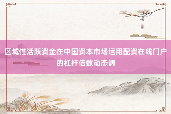 区域性活跃资金在中国资本市场运用配资在线门户的杠杆倍数动态调
