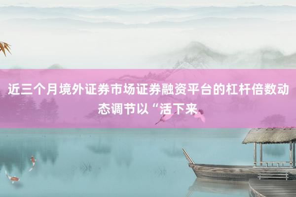 近三个月境外证券市场证券融资平台的杠杆倍数动态调节以“活下来