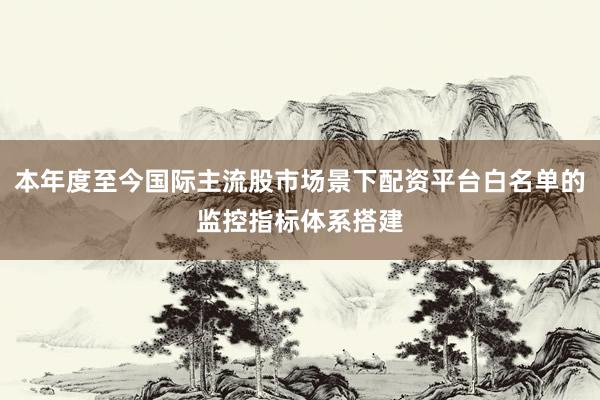 本年度至今国际主流股市场景下配资平台白名单的监控指标体系搭建