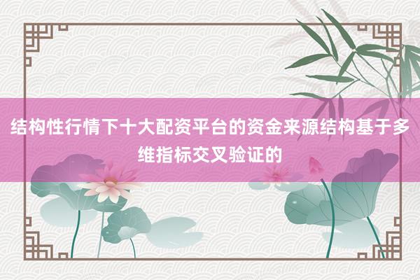 结构性行情下十大配资平台的资金来源结构基于多维指标交叉验证的