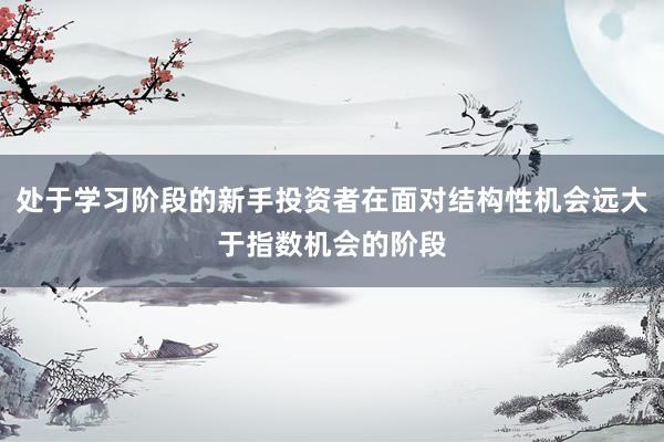 处于学习阶段的新手投资者在面对结构性机会远大于指数机会的阶段
