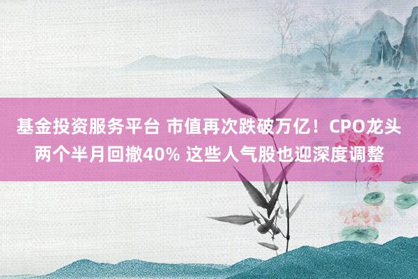 基金投资服务平台 市值再次跌破万亿！CPO龙头两个半月回撤40% 这些人气股也迎深度调整