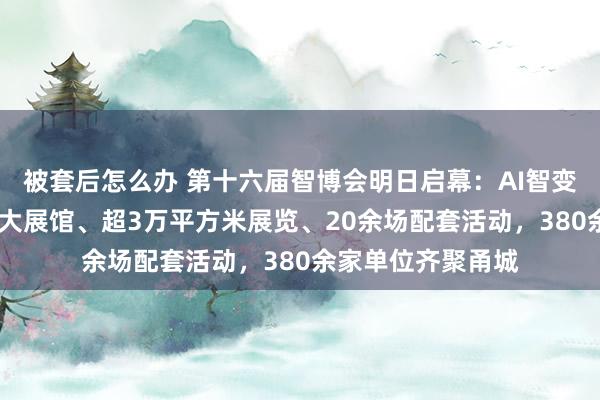 被套后怎么办 第十六届智博会明日启幕:AI智变,慧聚未来——五大展馆、超3万平方米展览、20余场配套活动,380余家单位齐聚甬城