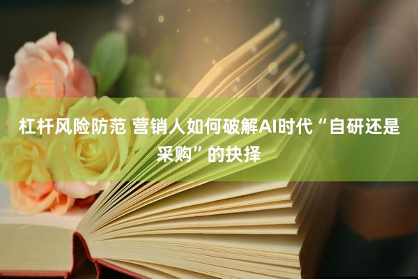 杠杆风险防范 营销人如何破解AI时代“自研还是采购”的抉择