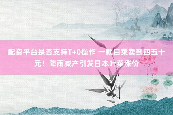 配资平台是否支持T+0操作 一颗白菜卖到四五十元！降雨减产引发日本叶菜涨价