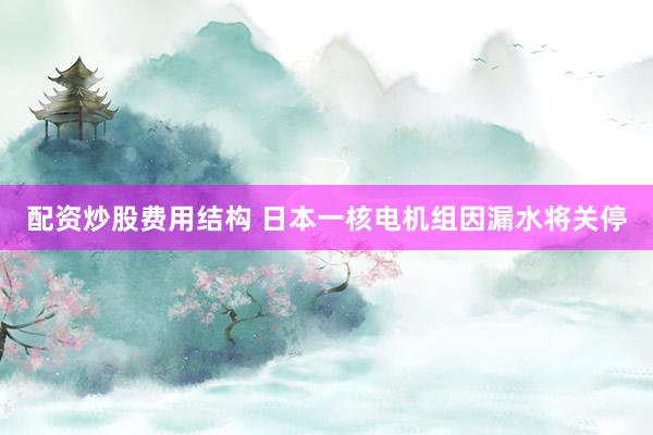 配资炒股费用结构 日本一核电机组因漏水将关停