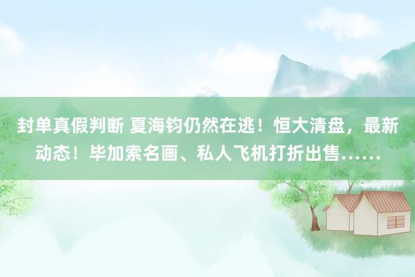 封单真假判断 夏海钧仍然在逃！恒大清盘，最新动态！毕加索名画、私人飞机打折出售……